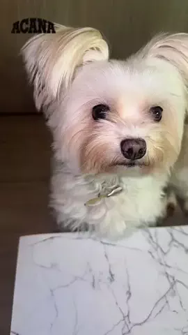 ぁぃ様🐈‍⬛⸒⸒⸒⸒🐾❤︎のTikTok投稿