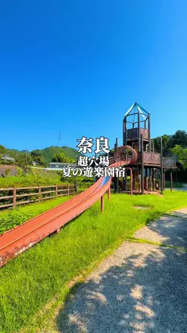りぃ　たびグルメのTikTok投稿