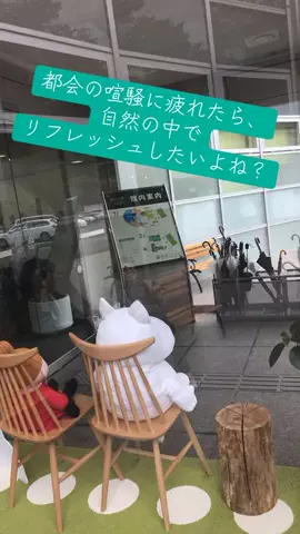 けいちゃん【旅行クリエイター✈️】のTikTok PR投稿：#PR #TikTokGO #大浴場付き #キャンプ #埼玉 