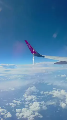 僕んちタイム｜沖縄・旅行・観光・グルメ情報のTikTok投稿
