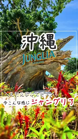 僕んちタイム｜沖縄・旅行・観光・グルメ情報のTikTok投稿