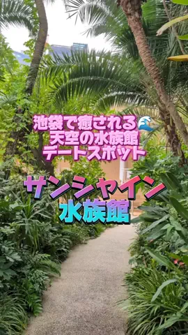 👑マルプー Binta｜ホテル旅🐻‍ 旅とご褒美🛍️のTikTok投稿