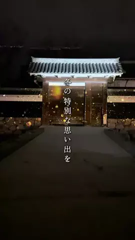 tommy.tokaidateのTikTok投稿