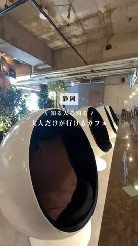 tommy.tokaidateのTikTok投稿