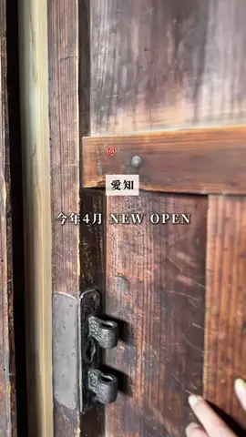 tommy.tokaidateのTikTok投稿