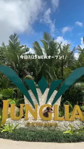 tommy.tokaidateのTikTok投稿