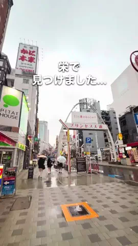 monkichi._.nagoyaのTikTok投稿