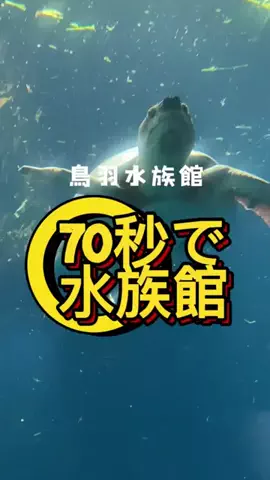 おはオム(公式）のTikTok投稿