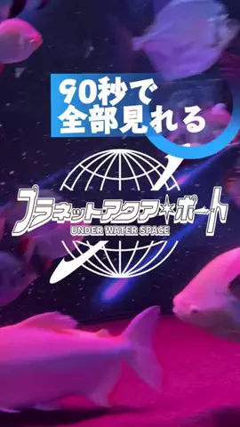 おはオム(公式）のTikTok投稿