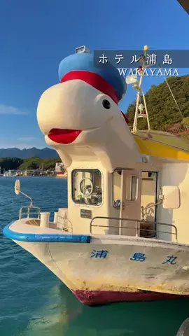 こぺ夫婦🍊和歌山お出かけ、時々旅行。のTikTok投稿