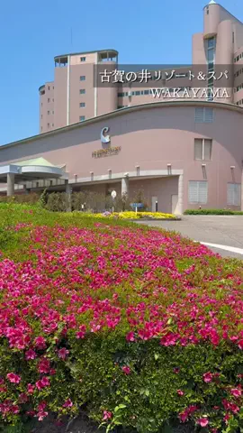 こぺ夫婦🍊和歌山お出かけ、時々旅行。のTikTok投稿