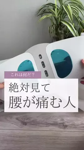 ちょびすけ40🏠🪴🐶のTikTok投稿