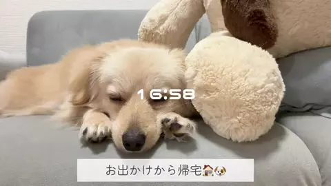 さんのTikTok投稿