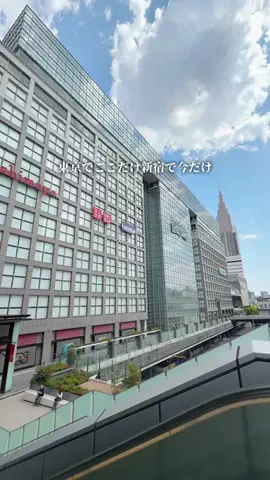 まんぷく東京グルメのTikTok投稿