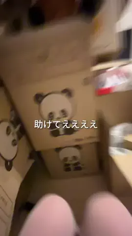 ゴミ彼氏と暮らす女子大生のTikTok投稿