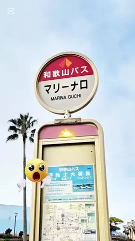 あおちゃ－ん🍇aochanのTikTok投稿