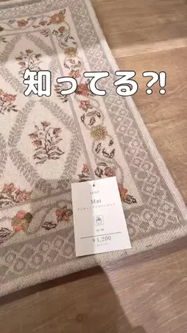 RinaのTikTok投稿