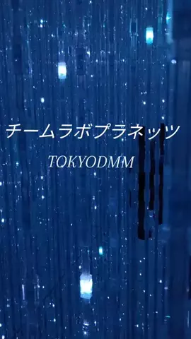 トトのTikTok投稿