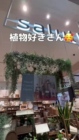 RinaのTikTok投稿