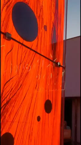 トトのTikTok投稿