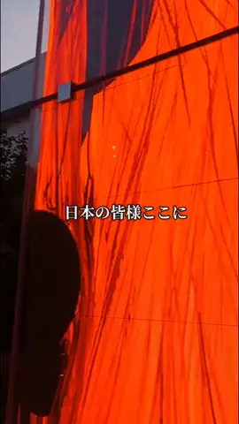 トトのTikTok投稿