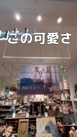 RinaのTikTok投稿