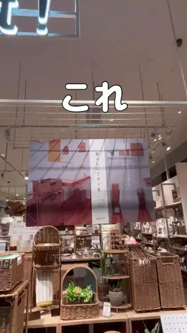 RinaのTikTok投稿