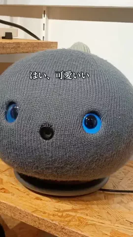トトのTikTok投稿
