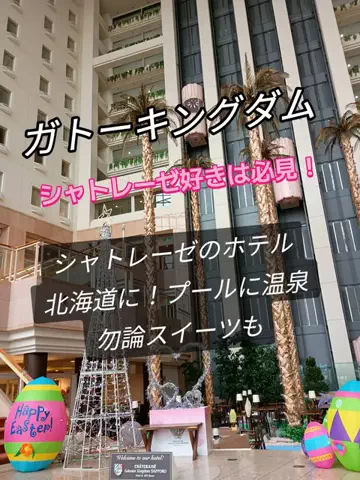 トトのTikTok投稿