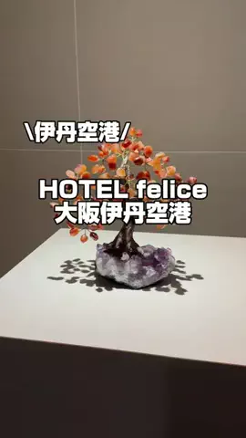 今日はもう帰らない女のTikTok投稿