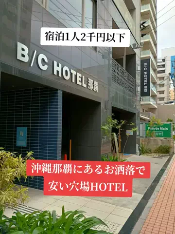 トトのTikTok投稿