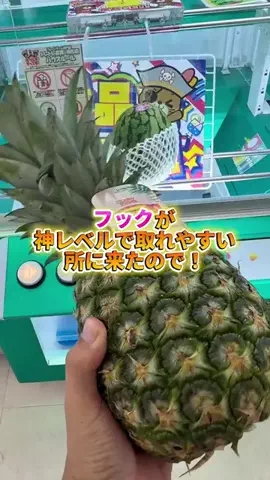 Yuki｜体験録のTikTok投稿