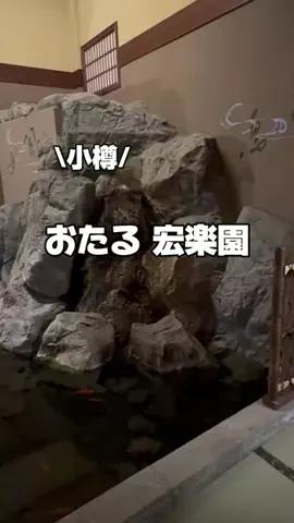 今日はもう帰らない女のTikTok投稿