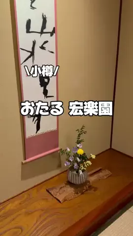 今日はもう帰らない女のTikTok投稿