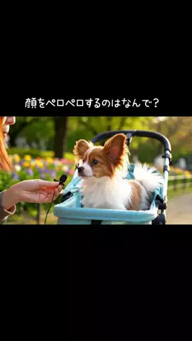 犬猫総合製薬株式会社のTikTok投稿