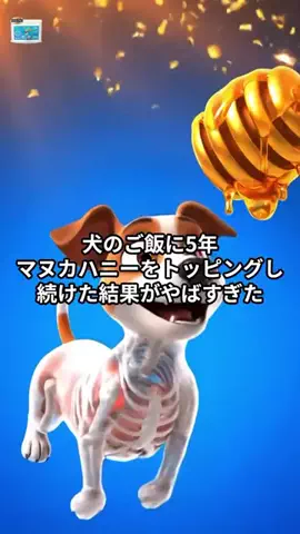 犬猫総合製薬株式会社のTikTok投稿