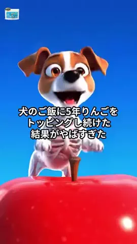 犬猫総合製薬株式会社のTikTok投稿