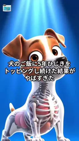 犬猫総合製薬株式会社のTikTok投稿