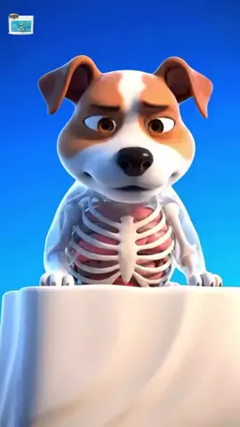 犬猫総合製薬株式会社のTikTok投稿