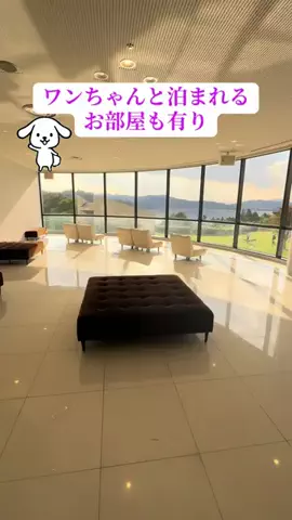 ホテル巡り大好き紅葉のTikTok投稿
