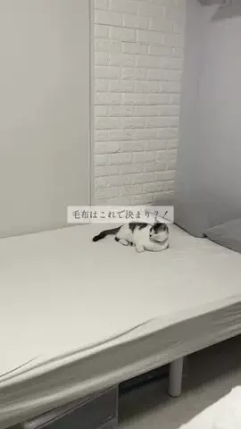 ち なのTikTok投稿