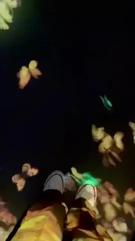 あけのTikTok投稿