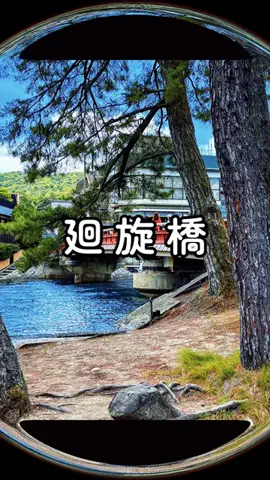 ぴーち まいけるのTikTok投稿