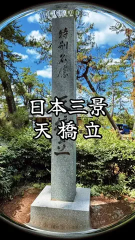 ぴーち まいけるのTikTok投稿