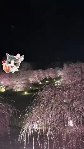 逆転大学生🔥 @就活👔のTikTok投稿