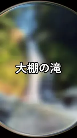 ぴーち まいけるのTikTok投稿