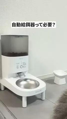 nekonosishamoのTikTok投稿