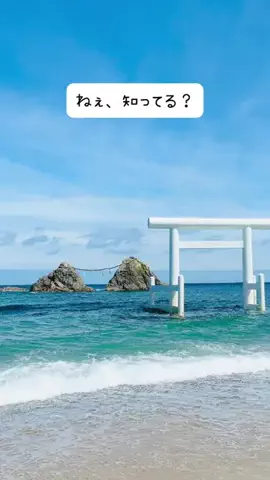 Richo : 世界遺産検定1級トラベラーのTikTok投稿