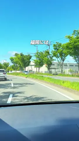 おでかけ情報をギュッと発信📢ルミルミ⿻*.·のTikTok投稿