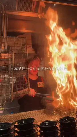 KojiグルメのTikTok投稿